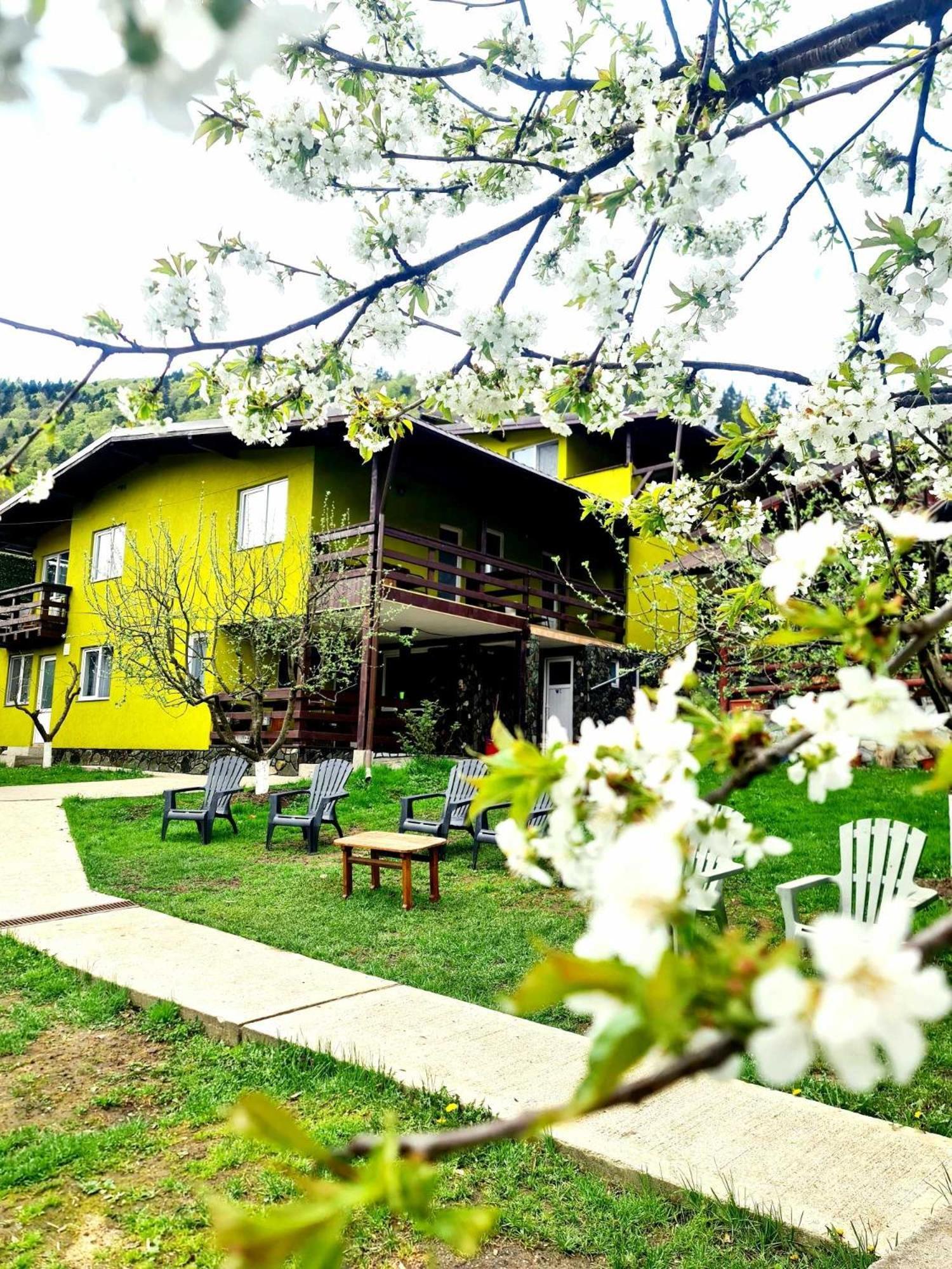 Vila Giulia 보이네아사 외부 사진